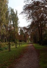 B-Herbststimmung 030.jpg